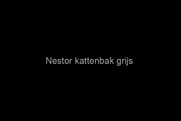 Nestor kattenbak grijs / wit